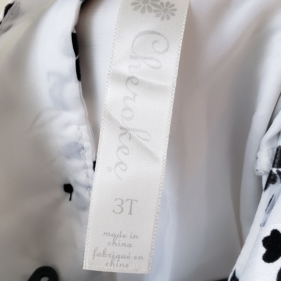 Girls size 3t dress - Picture 4 of 4